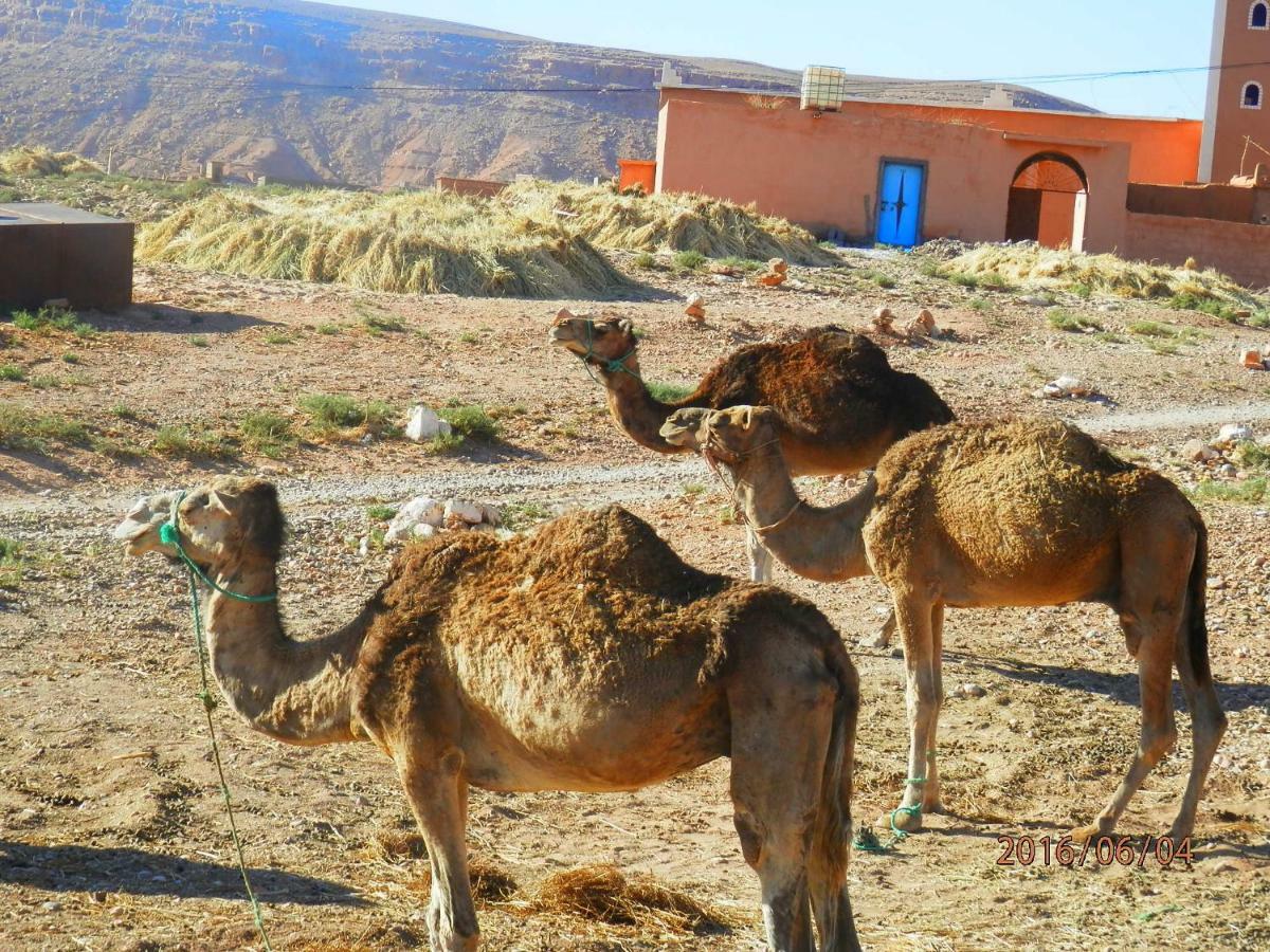 Dar Soufian Hotell Ouarzazate Eksteriør bilde